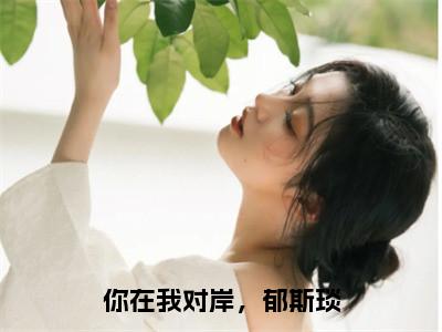 热文夏暖小说全文阅读_你在我对岸，郁斯琰（夏暖）全文免费阅读最新章节列表