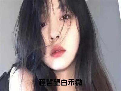 程哲望白禾微全文免费阅读无弹窗大结局_程哲望白禾微（白禾微程哲望）小说结局免费阅读（白禾微程哲望）